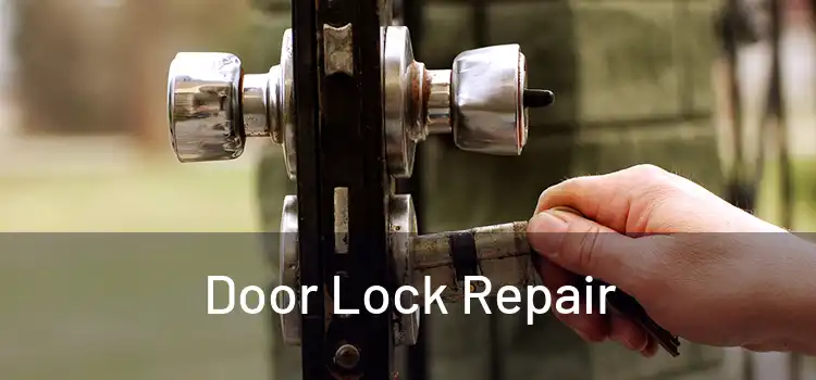 Door Lock Repair